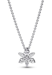 Pandora SPARKLING HERBARIUM CLUSTER  - Collana - silver coloured