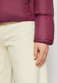 Calvin Klein Jeans ARCHETYPE SHORT PUFFER - Dūnu jaka - amaranth