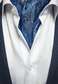 Valkoinen kauluspaita, jossa on sininen paisley-kuvioinen solmio ja tumma liivi. Paidassa on klassinen kaulus ja näkyvät napit.