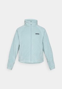 BENTON SPRINGS™ RELAXED FULL ZIP - Veste polaire - crushed blue