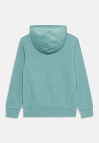 Felpa con cappuccio di un blu chiaro, con una texture liscia, maniche lunghe e orlo a coste. Il cappuccio è arrotondato e il retro è semplice.