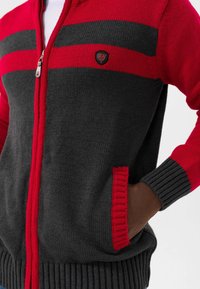 Rood en grijs gebreid vest met een rits aan de voorkant, voorzien van horizontale strepen, geribbelde boorden en zijzakken. Schildlogo op de borst.