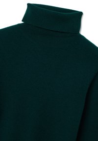 Maglione a collo alto di un verde scuro, realizzato in morbido materiale a maglia, con un colletto alto e arrotolato e una texture a costine sulla scollatura.