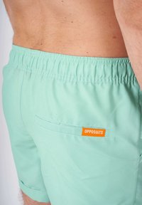 Vaaleanvihreät uimashortsit, joissa on elastinen vyötärönauha, yksi takatasku ja oranssi "OPPOSUITS" -tunnus. Tasainen kangastuntu.