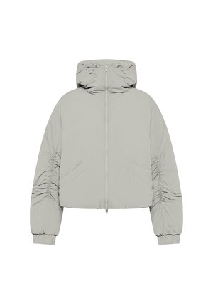 Deha, JACKET - Vinterjakker - grey
