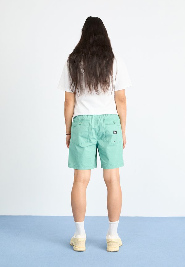 TAXER FATIGUE - Shorts3