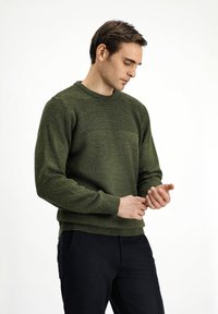 Suéter de punto verde con un yugo texturizado y puños de canalé, con un cuello redondo y un cuerpo sólido en un tono verde medio cálido.