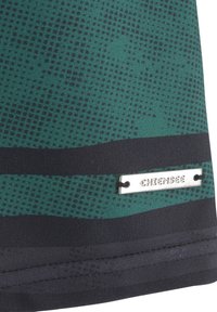 Groene stof met een stippenpatroon, voorzien van zwarte horizontale strepen. Gemetalliseerd logo label bevestigd, met de tekst "Chiemsee." Gestructureerd oppervlak.