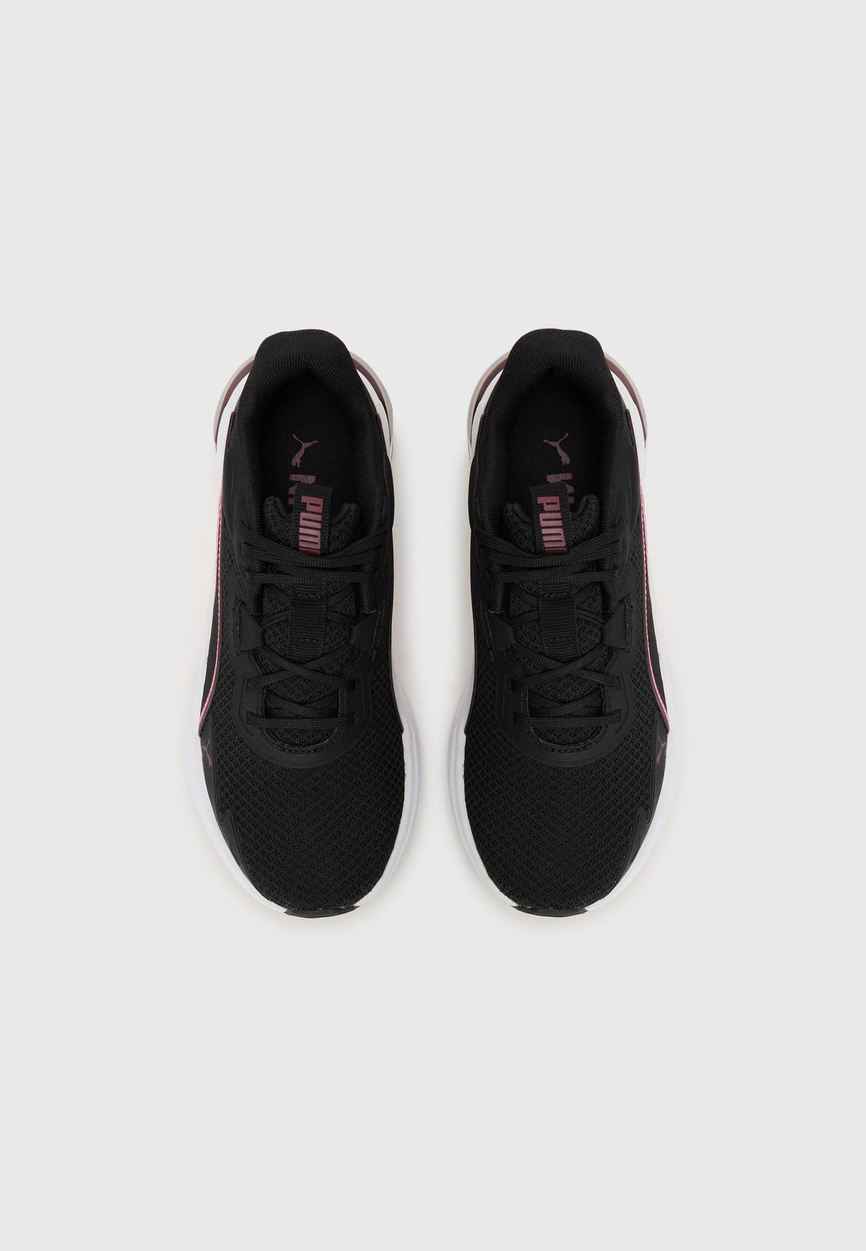 DISPERSE XT 4