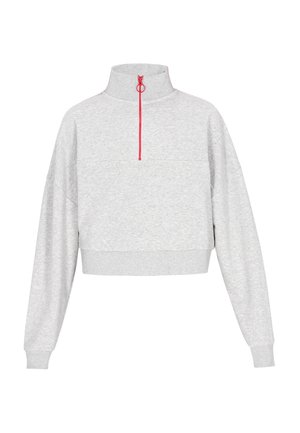 Grå kort sweatshirt med høj krave, der har en rød lynlås og ribbede manchetter. Glat tekstur med en afslappet pasform.