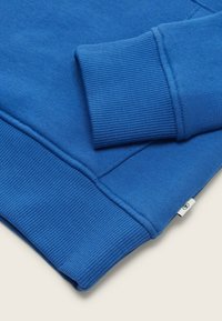 TOM TAILOR MIT LOGO PRINT - Felpa con cappuccio - soft sapphire blue