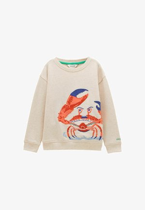 Joules, Pusa - oatmeal