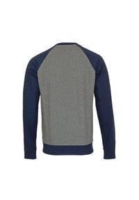 Sudadera gris y azul marino con diseño raglán, textura suave y puños acanalados. Vista trasera que muestra colores contrastantes y líneas limpias.