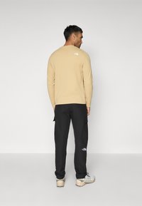 The North Face HORIZON PANT - Hlače za otvoreno - black