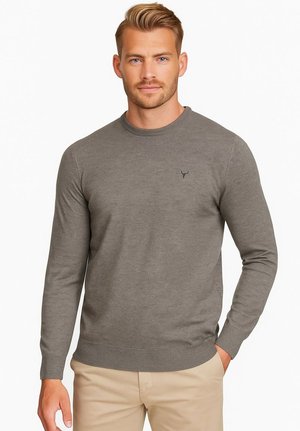 CREW NECK LONG SLEEVE - Jersey de punto - mottled grey