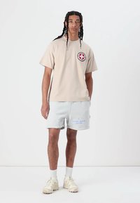 Pal Sporting Goods OBSERVER UNISEX - Μπλουζάκι με στάμπα - stone