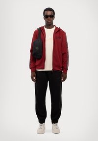 EA7 Emporio Armani FELPA - Jersey con capucha - syrah