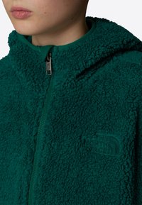 The North Face CAMPSHIRE - Forro polar - evergreen