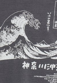 BDG Urban Outfitters Sweatshirt - blue