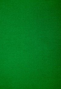 Tessuto verde solido con una fine trama a maglia e un colore uniforme in tutta l'area visibile.