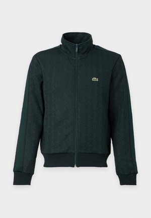 Homme portant une veste zippée vert foncé, une chemise verte, un pantalon large foncé et des chaussures marron, debout devant un fond clair uni.