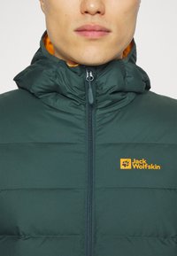 Jack Wolfskin ATHER - Gewatteerde jas - evergreen