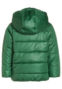 Zelená prošívaná bunda s kapucí. Vybavená prošívanými pruhy, lesklým povrchem a elastickým lemem na krku kapuce. Bez viditelného kovového spojovacího materiálu nebo akcentů.