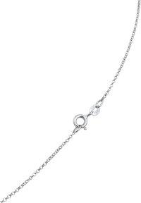 Collier en chaîne en argent avec un fermoir à homard. Présente un design délicat de maillons ovales et une finition polie, mettant en valeur une texture lisse.