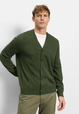 Mann steht mit der Hand hinter dem Rücken, trägt eine dunkelgrüne, geknöpfte Strickjacke über einem weißen Hemd und hellbraunen Hosen.