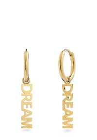 Guldörhängen i form av hoops med ordet "DREAM" i fet, staplad text. Slät yta med polerad finish. Perfekta för avslappnade eller trendiga outfits.