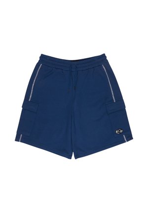 DC Shoes, FLOW DOWN - Športové šortky - bsw estate blue