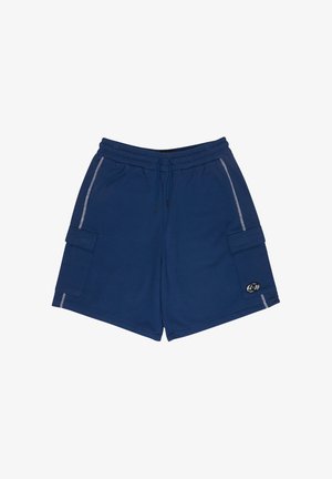 DC Shoes, FLOW DOWN - Športové šortky - bsw estate blue