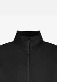 Cars Jeans TAYLEN - Sweater met rits - black