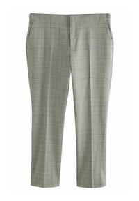 Helle graue Karohosen mit schnittem Beinen, ausgestattet mit seitlichen Taschen und einer glatten Textur. Minimalistisches Design, keine sichtbaren Beschläge.