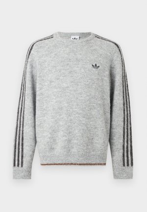 Ung mand iført en lysegrå strikket sweater med mørke striber på ærmerne og et lille Adidas-logo på brystet, stående foran en ensfarvet baggrund.