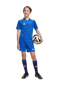 Blauwe voetbalshirt met geometrisch patroon, bijpassende shorts, zwarte voetbalschoenen en gestreepte blauwe sokken. Speler houdt een zwart-wit voetbals in de hand.