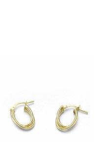 Auksinės auskarų kilpos su sukta dizainu, turinčios lygų paviršių ir saugų užsegimą. Ovalo formos su tekstūruotu apdaila aplink kraštus.