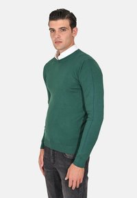 Maglione verde lavorato a maglia con maniche lunghe, polsini e orlo a coste, scollo girocollo, indossato sopra una camicia bianca con colletto, abbinato a jeans scuri.