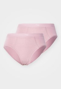 EVER EASE HIPSTER WITH THERMOREGULATION 2 PACK - Briefs - foggy mauve