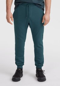 Turkusowe dresy o slim fit, z elastycznym pasem z sznurkiem i zwężającymi się mankietami. Posiadają delikatne logo nadrukowane na nodze.