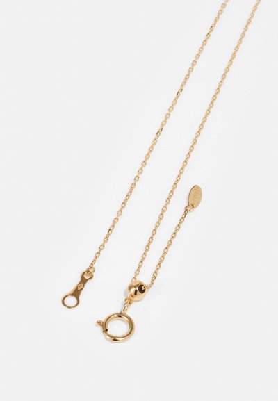 Χρυσοί μεταλλικοί κολιέ με λεπτή αλυσίδα, διαθέτοντας κλειδαριά σε σχήμα αστακού και μικρή οβάλ ταυτότητα, λεία υφή και γυαλιστερή φινίρισμα.