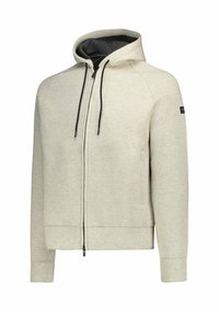 Lichtgrijze hoodie van zachte, gestructureerde stof met een ritssluiting aan de voorkant, verstelbare zwarte trekkoorden en zijzakken.