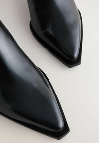 Botas de cuero negro hasta el tobillo con punta afilada y un diseño elegante. Las suelas son planas con una textura sutil y bordes angulares.