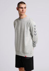 Grijze sweatshirt met ribbelnekkraag, lange mouwen met grijs chevronpatroon en een rode labelaccent aan de onderkant. Gecombineerd met zwarte shorts.