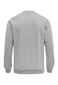 Felpa grigia realizzata in un materiale morbido con polsini e orlo a costine. Presenta maniche raglan e un logo stampato sulla manica sinistra.