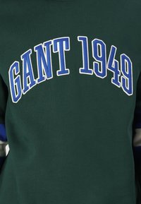 Groene sweatshirt met "GANT 1949" gedrukt in blauw en wit. Heeft een gladde textuur en contrasterende blauwe en grijze strepen op de mouwen.