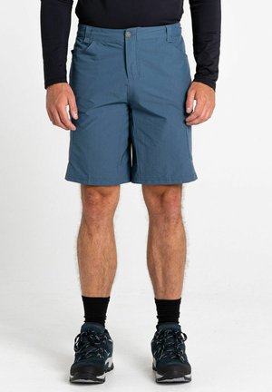 Dare 2B TUNED IN WANDER - Shorts outdoor - orion grey