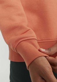 Jack & Jones Junior JORVESTERBRO CREW NECK NOOS - Ikdienas džemperis - ginger