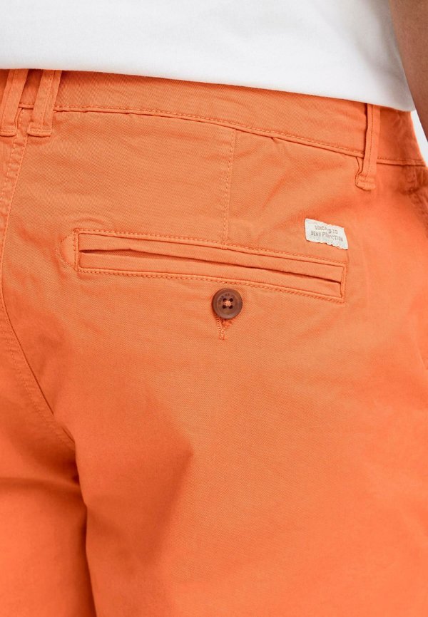 BHMASON-SHORTS SLIM/ REGULAR FIT - Shorts - arabesque3