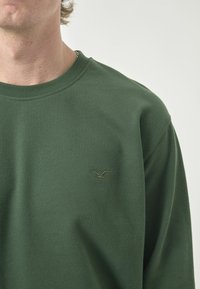 Green sweatshirt made of soft fabric with a crew neckline. Features a small, embroidered logo on the left chest area. Simple design.
